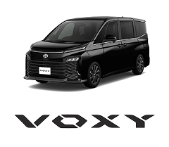 voxy