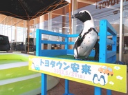 ペンギン１